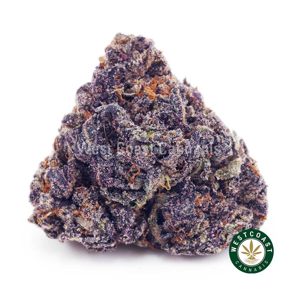 Y485A1 SOURCHERRYBLASTER WCCANNABIS Y485A1 SOURCHERRYBLASTER WCCANNABIS