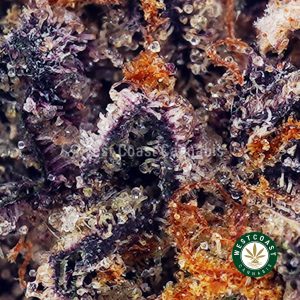 Y485A2 SOURCHERRYBLASTER WCCANNABIS Y485A2 SOURCHERRYBLASTER WCCANNABIS