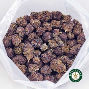 Y485A3 SOURCHERRYBLASTER WCCANNABIS Y485A3 SOURCHERRYBLASTER WCCANNABIS