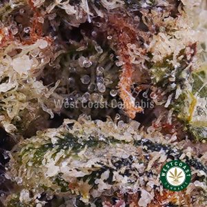 Buy Banana Sherbert AA wc cannabis weed dispensary & online pot shop