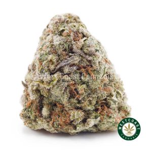 Buy Banana Sherbert AA wc cannabis weed dispensary & online pot shop