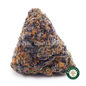 Buy Black Cherry Punch AAAA wc cannabis weed dispensary & online pot shop