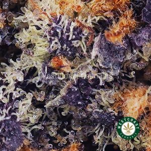Buy Black Cherry Punch AAAA wc cannabis weed dispensary & online pot shop