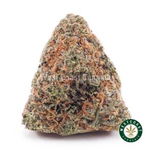 Buy Blueberry Dream AAA wc cannabis weed dispensary & online pot shop