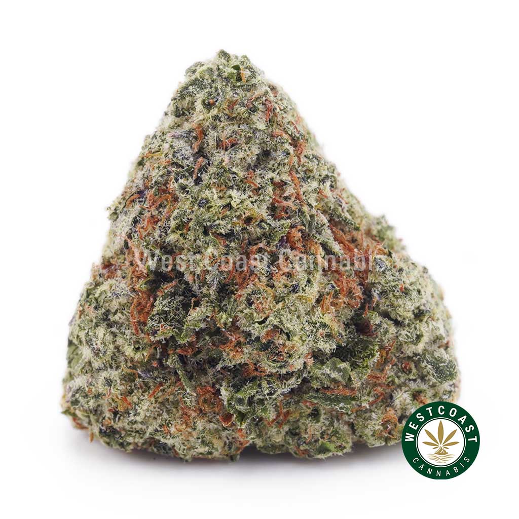 Buy Blueberry Haze AAA wc cannabis weed dispensary & online pot shop Buy Blueberry Haze AAA wc cannabis weed dispensary & online pot shop