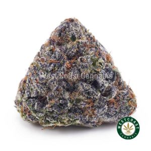 Buy Couch Lock AAAA+ wc cannabis weed dispensary & online pot shop