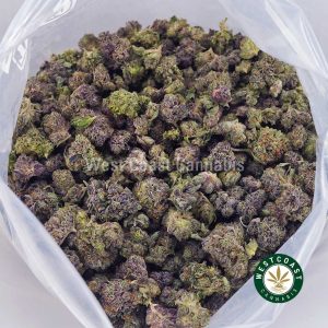 Buy Crazy Glue AAAA (Popcorn Nugs) wc cannabis weed dispensary & online pot shop