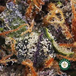 Buy Darth Vader AAA wc cannabis weed dispensary & online pot shop