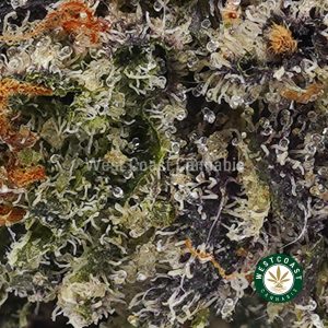 Buy Death Pink AAAA+ wc cannabis weed dispensary & online pot shop