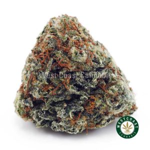 Buy Death Star AA wc cannabis weed dispensary & online pot shop