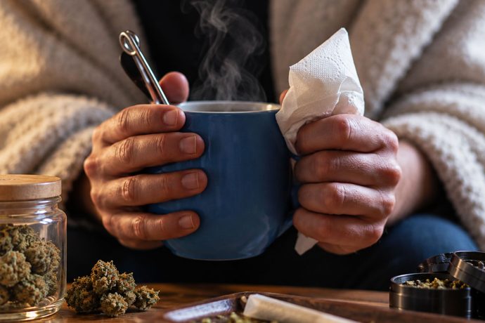 Does Weed Make You Cold Cannabis & Body Temperature Explained 2