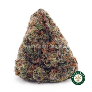 Buy Donny Burger AA wc cannabis weed dispensary & online pot shop