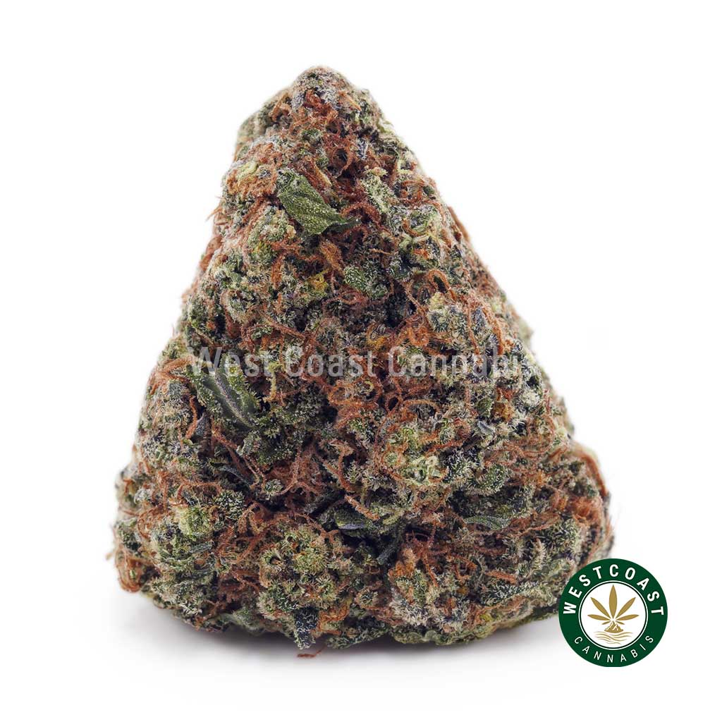 Buy Donny Burger AA wc cannabis weed dispensary & online pot shop Buy Donny Burger AA wc cannabis weed dispensary & online pot shop