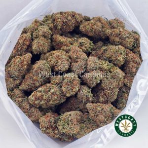 Buy Donny Burger AA wc cannabis weed dispensary & online pot shop Buy Donny Burger AA wc cannabis weed dispensary & online pot shop