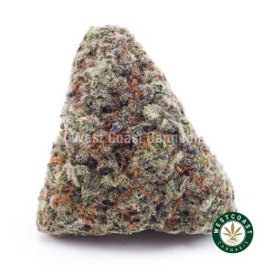 Buy Durban Poison AA wc cannabis weed dispensary & online pot shop