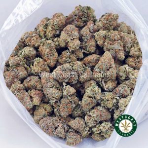 Buy Dutch Treat AAA wc cannabis weed dispensary & online pot shop Buy Dutch Treat AAA wc cannabis weed dispensary & online pot shop