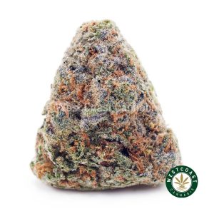 Buy Dutch Treat AAA wc cannabis weed dispensary & online pot shop