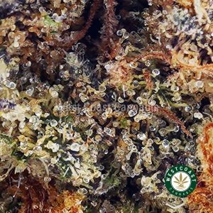 Buy El Diablo wc cannabis weed dispensary & online pot shop