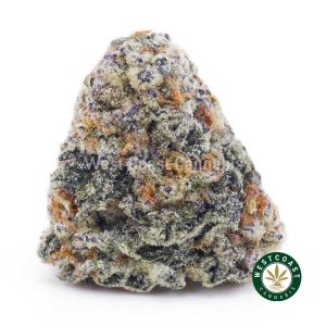 Buy Forum Cut Cookies AA wc cannabis weed dispensary & online pot shop