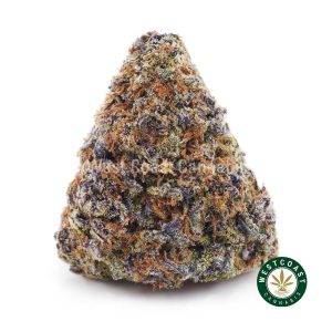 Buy Funky Charms AAAA wc cannabis weed dispensary & online pot shop