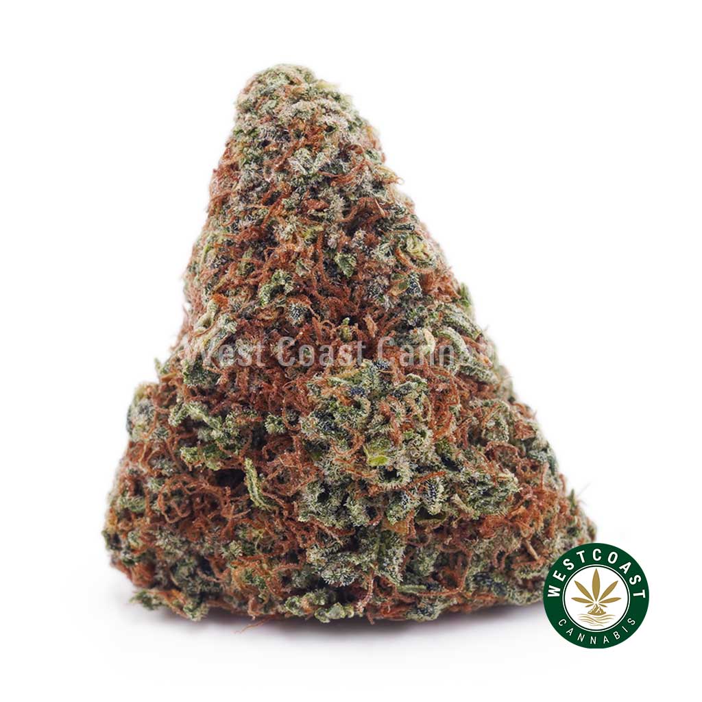 Buy Ghost Train Haze AA wc cannabis weed dispensary & online pot shop Buy Ghost Train Haze AA wc cannabis weed dispensary & online pot shop