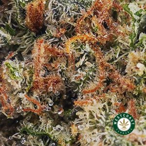 Buy Ghost Train Haze AA wc cannabis weed dispensary & online pot shop