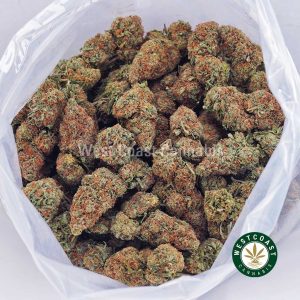 Buy Ghost Train Haze AA wc cannabis weed dispensary & online pot shop Buy Ghost Train Haze AA wc cannabis weed dispensary & online pot shop