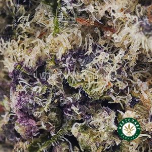 Buy God's Green Crack AAAA wc cannabis weed dispensary & online pot shop