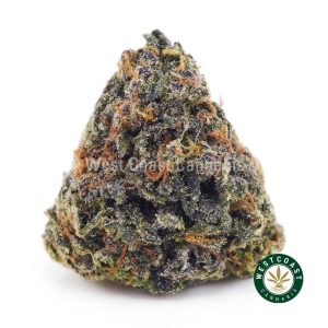 Buy Gorilla Cookies AA wc cannabis weed dispensary & online pot shop