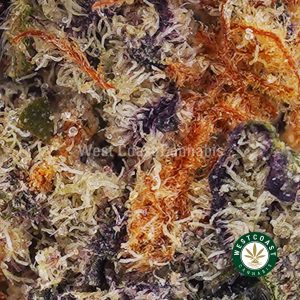 Gorilla Goo AAAA (Popcorn Nugs) 2