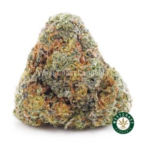 Buy Gouda AA wc cannabis weed dispensary & online pot shop
