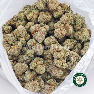 Buy Gouda AA wc cannabis weed dispensary & online pot shop
