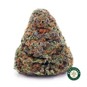 Buy Grape Gushers AAA wc cannabis weed dispensary & online pot shop