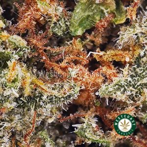 Buy Guava Cake AA wc cannabis weed dispensary & online pot shop
