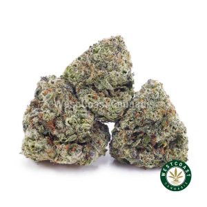 Buy Guava Gelato AAAA (Popcorn Nugs) wc cannabis weed dispensary & online pot shop