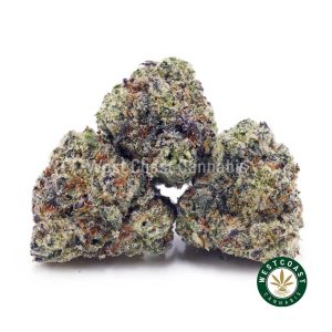 Ice Cream Cookies AAAA (Popcorn Nugs) 1