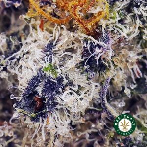 Ice Cream Cookies AAAA (Popcorn Nugs) 2
