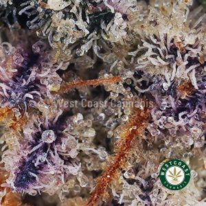Buy Ice Wine AA wc cannabis weed dispensary & online pot shop