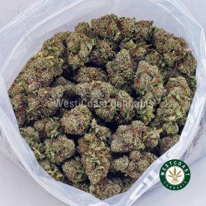 Buy Island Kush AA wc cannabis weed dispensary & online pot shop Buy Island Kush AA wc cannabis weed dispensary & online pot shop