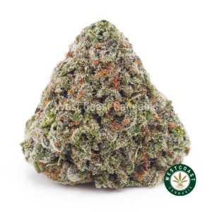 Buy Island Maui Haze AA wc cannabis weed dispensary & online pot shop