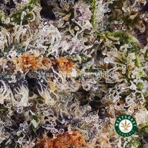 Buy Island Maui Haze AA wc cannabis weed dispensary & online pot shop