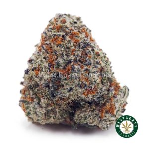 Buy King Tut AA wc cannabis weed dispensary & online pot shop
