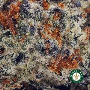 Buy King Tut AA wc cannabis weed dispensary & online pot shop