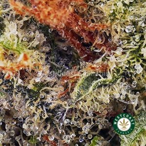 Buy Lemon Berry AA wc cannabis weed dispensary & online pot shop