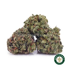 Buy Lemonade Kush AAAA (Popcorn Nugs) wc cannabis weed dispensary & online pot shop