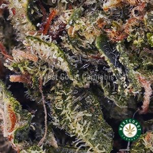 Buy Lemonade Kush AAAA (Popcorn Nugs) wc cannabis weed dispensary & online pot shop