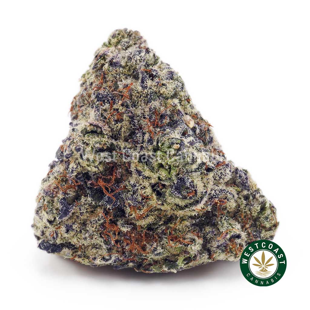 Buy Mendo Kush AAA wc cannabis weed dispensary & online pot shop Buy Mendo Kush AAA wc cannabis weed dispensary & online pot shop