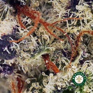 Buy Mendo Kush AAA wc cannabis weed dispensary & online pot shop