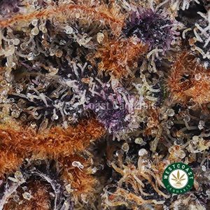 Buy Mimosa AAA wc cannabis weed dispensary & online pot shop