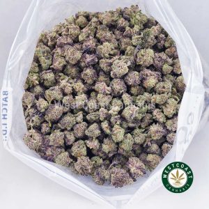 Buy Monster Cookies AAAA (Popcorn Nugs) wc cannabis weed dispensary & online pot shop Buy Monster Cookies AAAA (Popcorn Nugs) wc cannabis weed dispensary & online pot shop